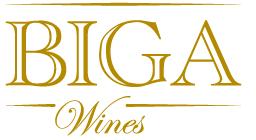 header biga logo-08